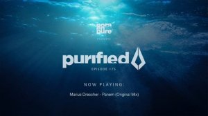Nora En Pure - Purified Radio Episode 175