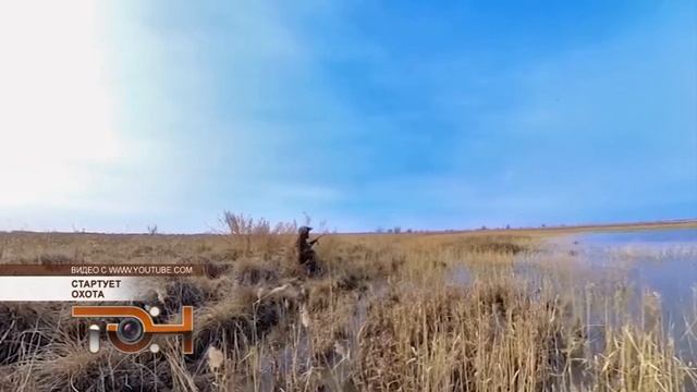 Стартует охота