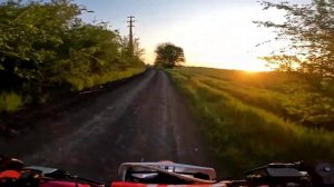 Погоня собаки за питбайком