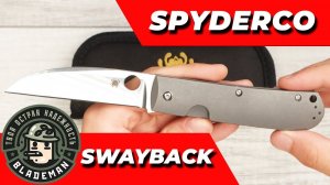 Нож Spyderco SwayBack, CTS XHP, Titanium, C249TIP