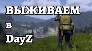 Выживание в DayZ