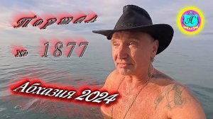 #Абхазия2024 🌴11 декабря. Выпуск №1877❗Погода от Серого Волка🌡вчера +20°🌡ночью +10°🐬море +14,5°