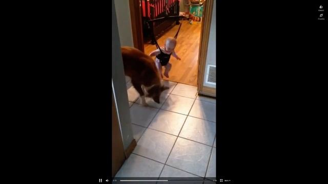 собака очень смешно учит ребенка прыгать смотреть онлайн