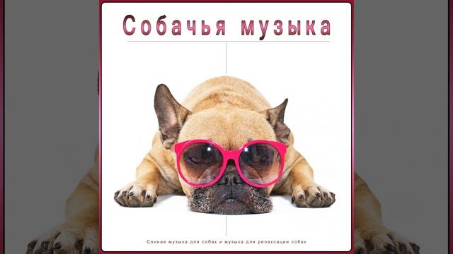 Собачья музыка смотреть онлайн