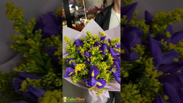 Букет 11 ирисов с зеленью