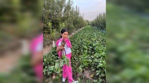 ШАВКАТ МИРЗИЁЕВ КИЗИ САИДА МИРЗИЁЕВА ДУБАЙДА ДАМ ОЛИШДА