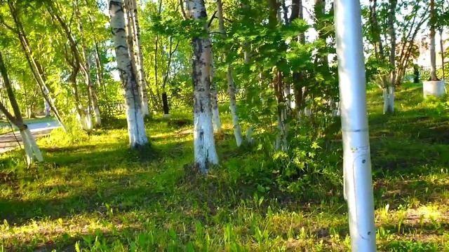 САМВЕЛ УЖАСНАЯ ПОЕЗДКА В СЕЛО, ИРУ ТОШНИТ