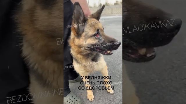 ОТДАЛ В ОТЛОВ КАК НЕНУЖНУЮ ВЕЩЬ!
