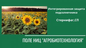 Интегрированная защита подсолнечника