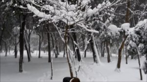 Lapa Lapa Kar (Снег валит хлопьями)-İstanbul