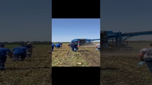 💪 “Зубр-6”: мощь и эффективность отечественной техники! 💪