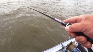 Хотел поймать жереха а попался РЕЧНОЙ МОНСТР !!!+ Бонус гостя судак на 5890.