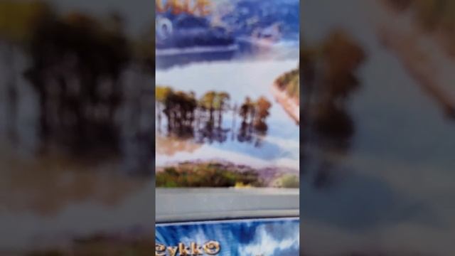 Я хочу кипарисы