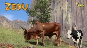 DOMESTIC ANIMALS | Learn Domestic Animals Sounds and Names For Children, Kids And Toddlers