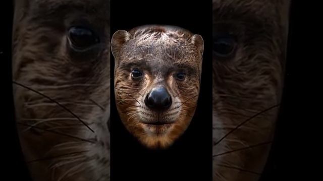 Когда тебя о чем-то спрашивают в школе