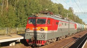 Разнообразие подвижного состава на платформе 45-й километр Северного направления Октябрьской ж/д.