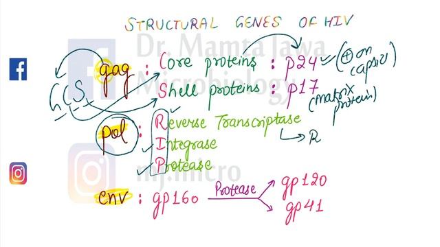 HIV Structure #MJMICRO смотреть онлайн