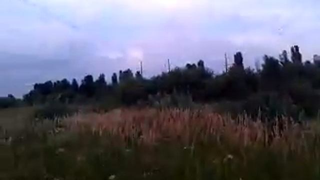 Русский охотничий спаниель Ист работа по куропатке смотреть онлайн