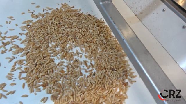 350 RO Nuts Roasting Oven / - Оборудование для жарки семечек и  орехов / - فرن تحميص مكسرات