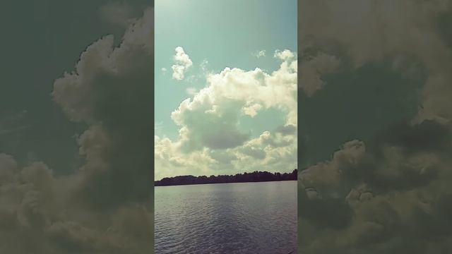 Enjoy Ultimate Run Time- 2024 Mercury 50 HP Motor смотреть онлайн