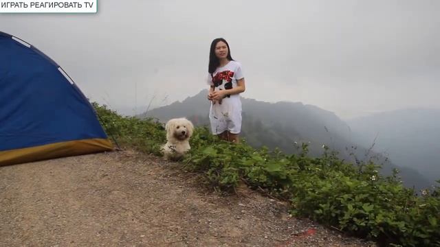 НЕ ПОПРОБУЙТЕ СМЕХ 2019! Ленивая собака катается на милой девушке смотреть онлайн