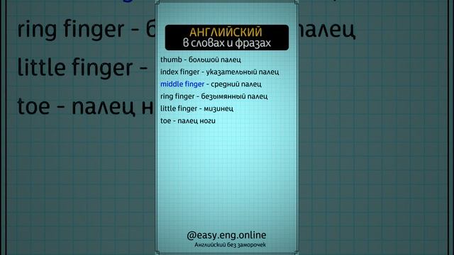 🤓 РАЗВИТИЕ УСТНОЙ РЕЧИ | 🔅 Расширяем словарный запас: практические упражнения на английские слова