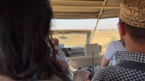 🇦🇪 Чем заняться в эмирате Рас-Эль-Хайма? Горы, пустыня, жемчуг, еда #оаэ #расэльхайма # бре