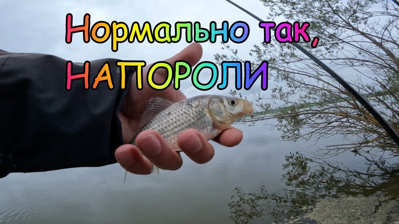 Много рыбы. Рыбалка 2023. Ловля Карася на Спиннинг. Леска. Ультралайт.