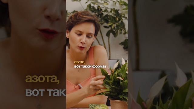 Как подкармливать цветущие растения.