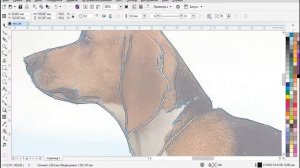 Простая отрисовка картинки в вектор.