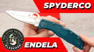 Нож Spyderco Endela, K390, FRN Blue