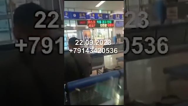 21.09.2023 - Паром в Южную Корею