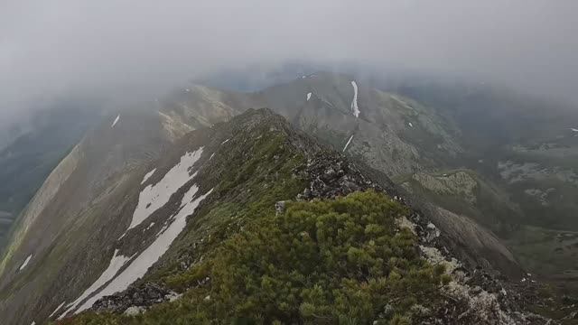 Как я провёл лето