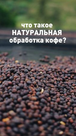 Что такое натуральная обработка кофе?