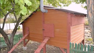 Как сделать, Удобный, Зимний Курятник своими руками. DIY Winter Chicken Coop
