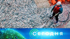«Сегодня»: 11 декабря 2024 года. 16:00 | Выпуск новостей | Новости НТВ