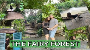 THE FAIRY FOREST. СКАЗОЧНЫЙ ЛЕС в Нячанге.
Едим ЛЕСНОГО ЕЖА и ЛЯГУШЕК.