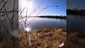 Охота на турпанов 2021 Turpan hunting 2021