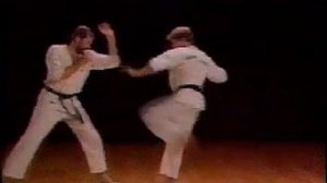 Ашихара Каратэ - базовая техника / Ashihara karate