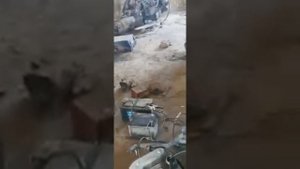 Двигатель Ман D0824 160лс. Евро2.