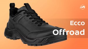 Ботинки мужские Ecco Offroad