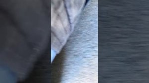 Dodge Ram 1500 gas cap code