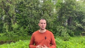 Когда смысла капиталить уже нет... Новый 4D20...