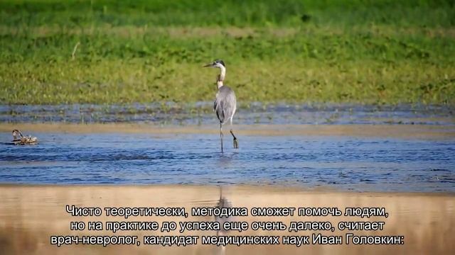 Ученые научились лечить паралич смотреть онлайн