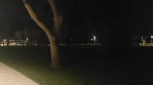 Вечерняя прогулка по парку Молодёжный в Геленджике.