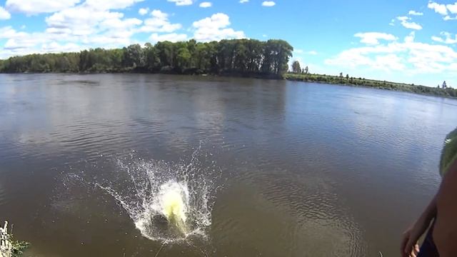 Он лишь хотел прыгнуть в воду! Слабонервным не смотреть! смотреть онлайн