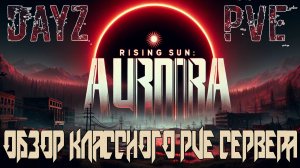 DayZ PVE ОБЗОР КЛАССНОГО СЕРВЕРА  RISING SUN ДЕЙЗ ПВЕ