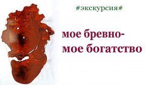 Мое бревно -- мое богатство. Wood. Everything about wood.