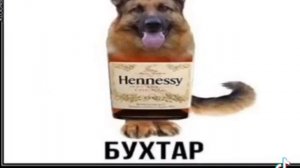 батутка
