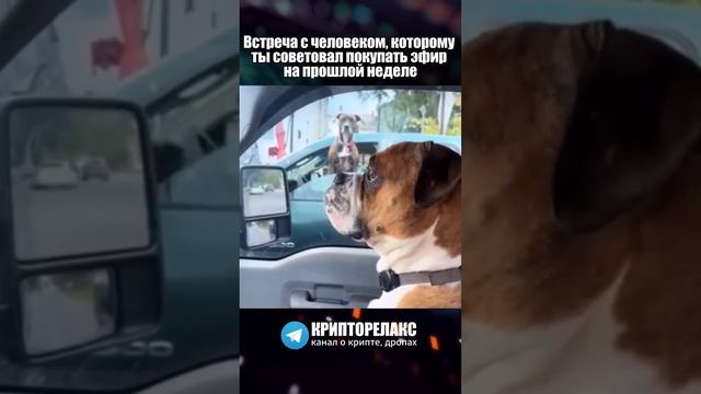 Когда закупился эфиром перед дампом